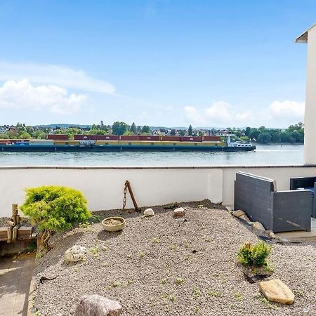 Tiny Apartment With Spacious Terrace On The Rhine Neuwied Ngoại thất bức ảnh